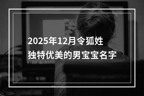2025年12月令狐姓独特优美的男宝宝名字