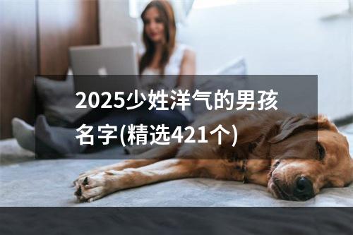 2025少姓洋气的男孩名字(精选421个)