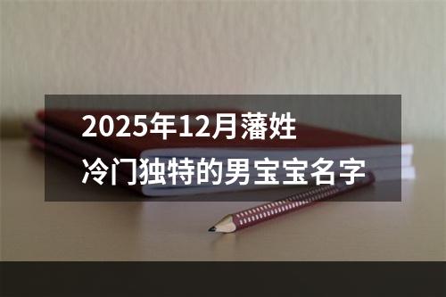 2025年12月藩姓冷门独特的男宝宝名字
