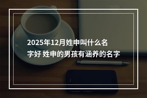 2025年12月姓申叫什么名字好 姓申的男孩有涵养的名字
