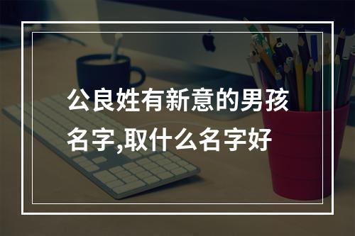 公良姓有新意的男孩名字,取什么名字好