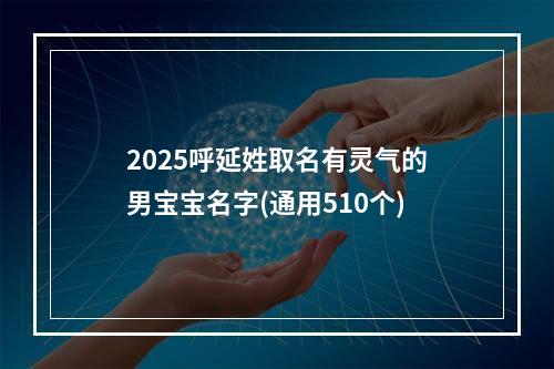 2025呼延姓取名有灵气的男宝宝名字(通用510个)