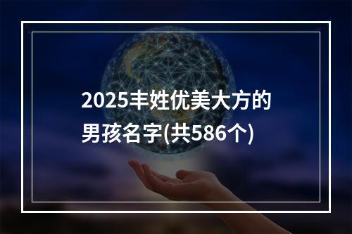 2025丰姓优美大方的男孩名字(共586个)