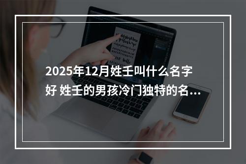 2025年12月姓壬叫什么名字好 姓壬的男孩冷门独特的名字
