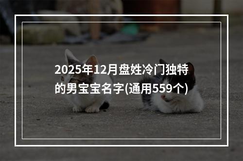 2025年12月盘姓冷门独特的男宝宝名字(通用559个)