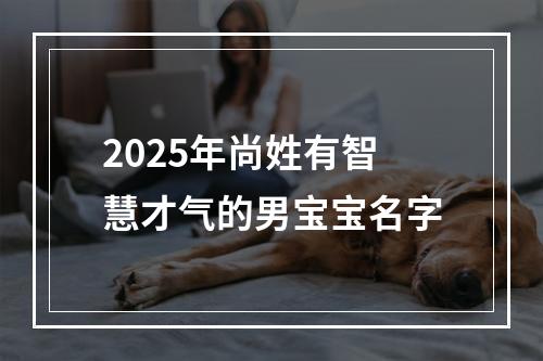 2025年尚姓有智慧才气的男宝宝名字