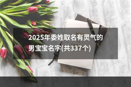 2025年委姓取名有灵气的男宝宝名字(共337个)