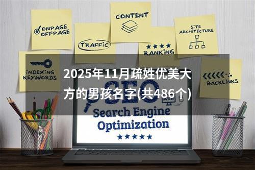 2025年11月疏姓优美大方的男孩名字(共486个)