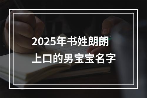 2025年书姓朗朗上口的男宝宝名字
