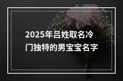 2025年吕姓取名冷门独特的男宝宝名字