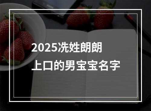 2025冼姓朗朗上口的男宝宝名字