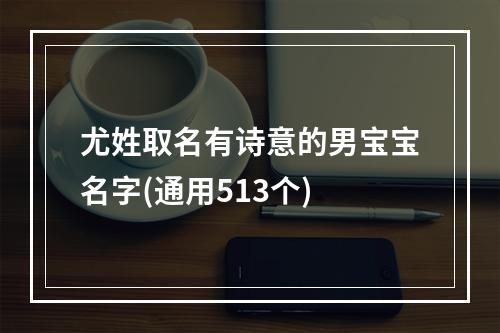 尤姓取名有诗意的男宝宝名字(通用513个)