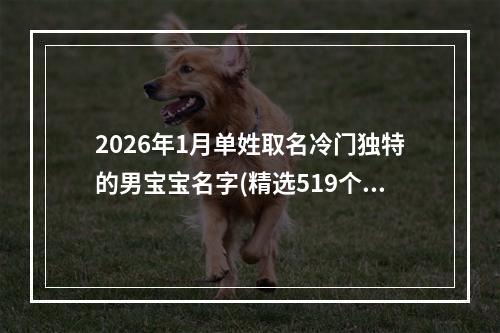2026年1月单姓取名冷门独特的男宝宝名字(精选519个)