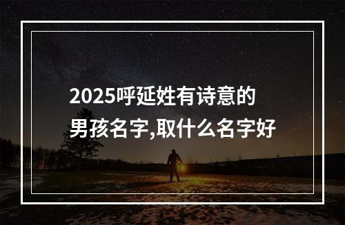 2025呼延姓有诗意的男孩名字,取什么名字好