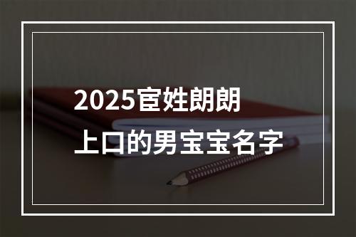 2025宦姓朗朗上口的男宝宝名字
