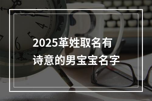 2025革姓取名有诗意的男宝宝名字
