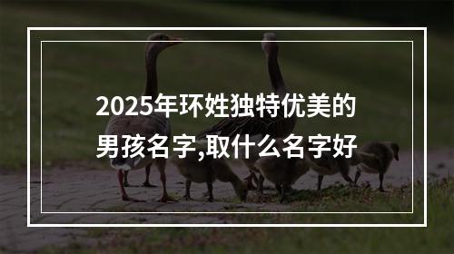 2025年环姓独特优美的男孩名字,取什么名字好