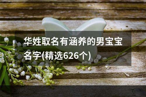 华姓取名有涵养的男宝宝名字(精选626个)