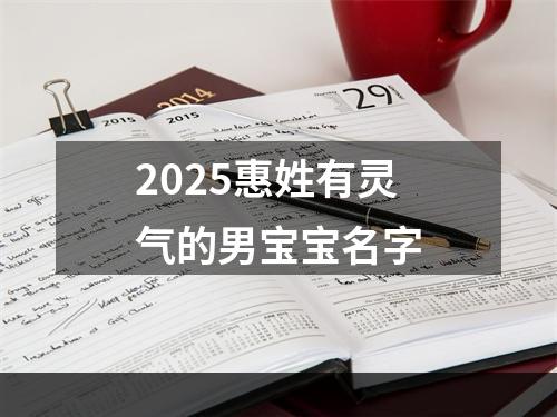2025惠姓有灵气的男宝宝名字