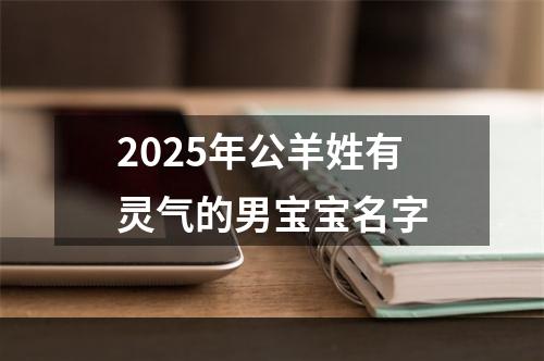 2025年公羊姓有灵气的男宝宝名字