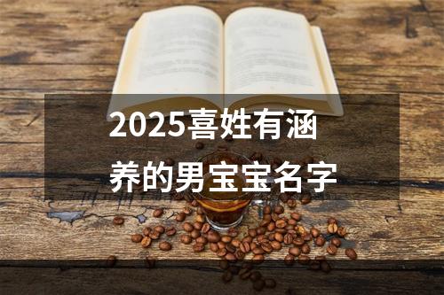 2025喜姓有涵养的男宝宝名字