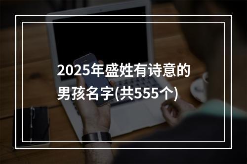 2025年盛姓有诗意的男孩名字(共555个)