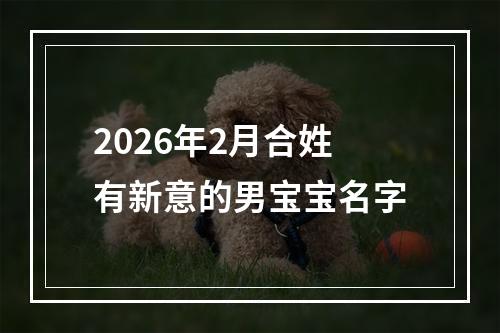 2026年2月合姓有新意的男宝宝名字