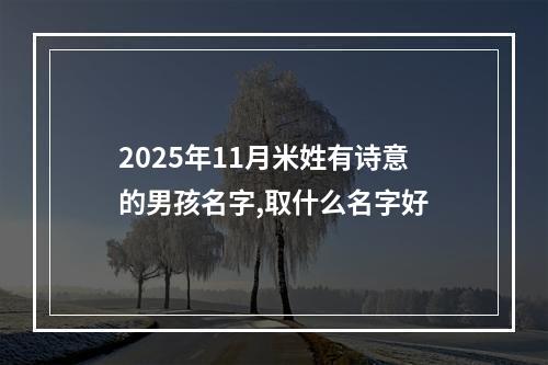 2025年11月米姓有诗意的男孩名字,取什么名字好