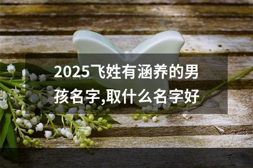 2025飞姓有涵养的男孩名字,取什么名字好