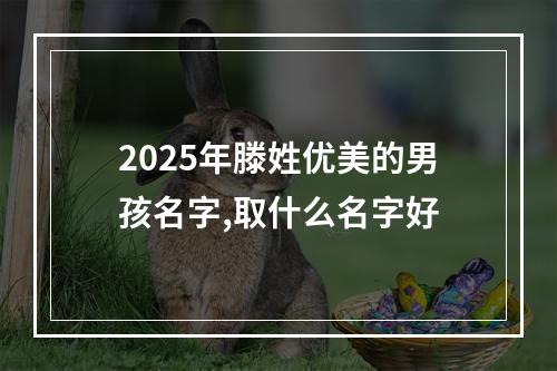 2025年滕姓优美的男孩名字,取什么名字好