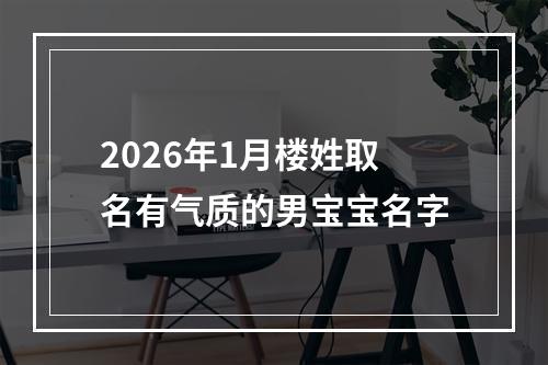 2026年1月楼姓取名有气质的男宝宝名字
