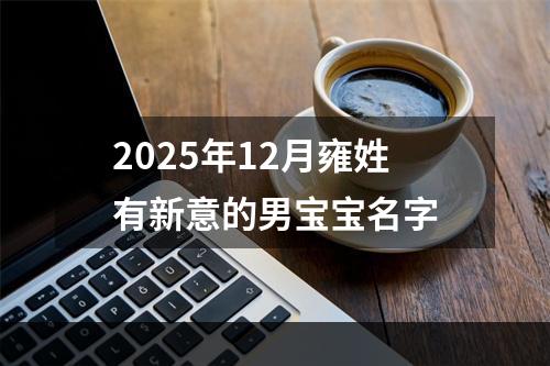 2025年12月雍姓有新意的男宝宝名字
