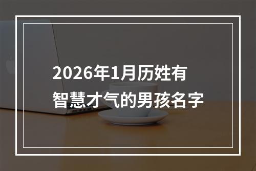 2026年1月历姓有智慧才气的男孩名字