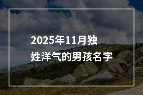 2025年11月独姓洋气的男孩名字