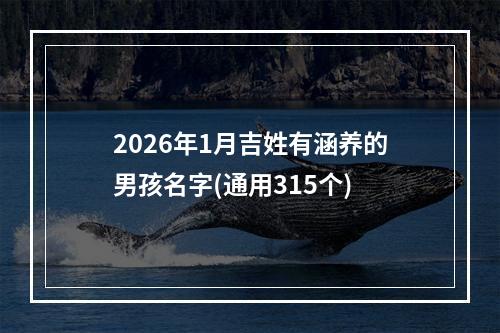 2026年1月吉姓有涵养的男孩名字(通用315个)