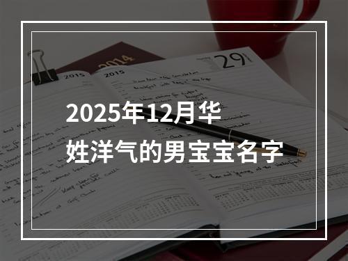 2025年12月华姓洋气的男宝宝名字