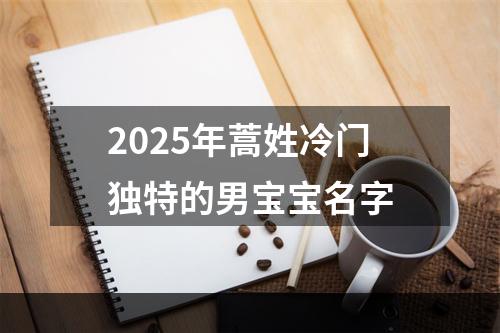 2025年蒿姓冷门独特的男宝宝名字