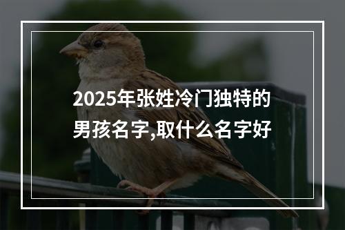 2025年张姓冷门独特的男孩名字,取什么名字好