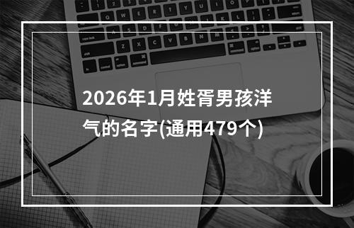2026年1月姓胥男孩洋气的名字(通用479个)