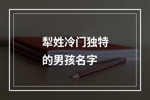 犁姓冷门独特的男孩名字