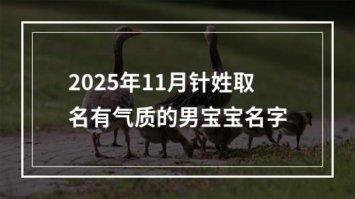 2025年11月针姓取名有气质的男宝宝名字