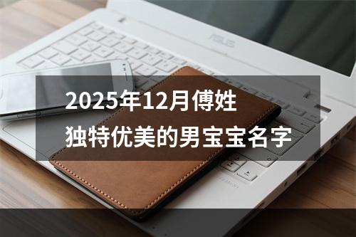 2025年12月傅姓独特优美的男宝宝名字