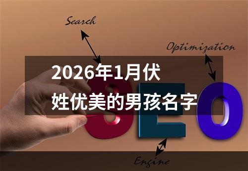 2026年1月伏姓优美的男孩名字