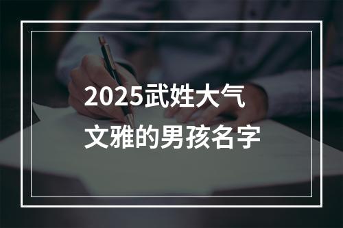 2025武姓大气文雅的男孩名字