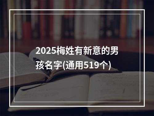 2025梅姓有新意的男孩名字(通用519个)