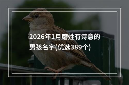 2026年1月磨姓有诗意的男孩名字(优选389个)
