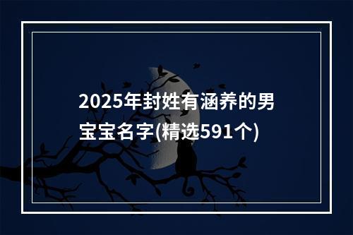 2025年封姓有涵养的男宝宝名字(精选591个)