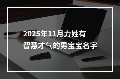 2025年11月力姓有智慧才气的男宝宝名字