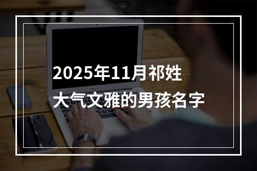 2025年11月祁姓大气文雅的男孩名字