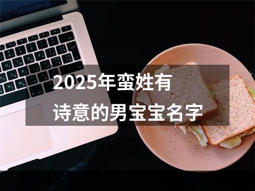 2025年蛮姓有诗意的男宝宝名字